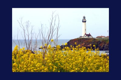 Pigeon Point Lighthouse.jpg
