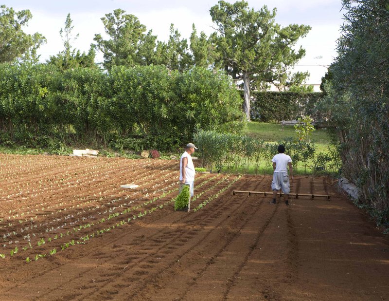 preparing to plant2.jpg