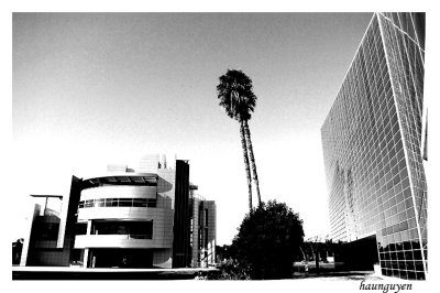 Crystal Cathedral