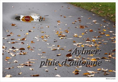 Aylmer: Fall Rain