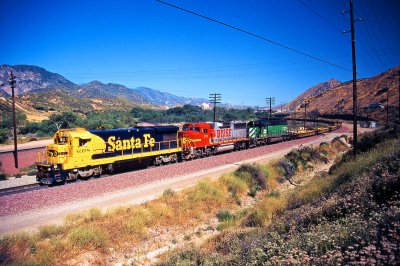 g1/42/800042/3/93043907.5zUNbluT.jpg