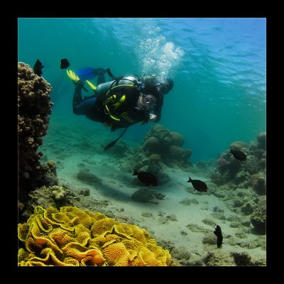 ...somewhere in the Red Sea