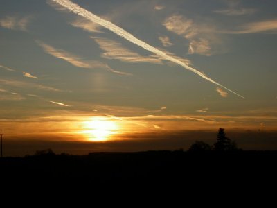 g1/42/835542/3/105581258.RvqP97Zz.jpg