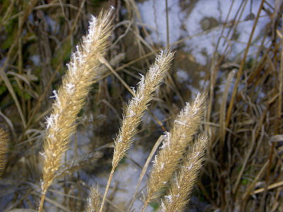 TOUCH OF WINTER 2