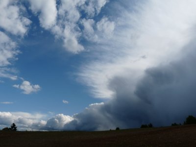 SKY 36