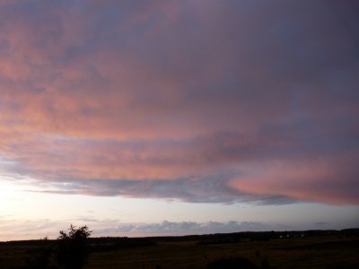SKY 49