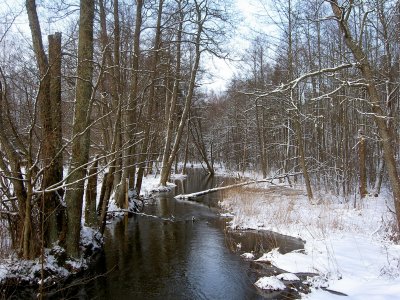 SZESZUPA RIVER