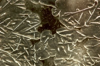 ICE PICTURE 1
