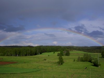 RAINBOW OVER THE FOREST