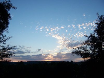 g1/42/835542/3/97400709.j0TcltOu.jpg