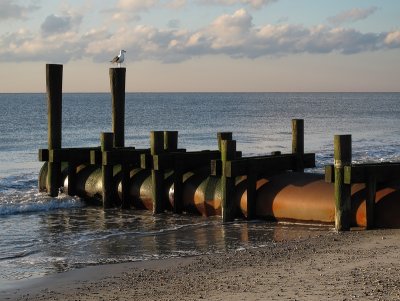Intake or Outfall, Cape May