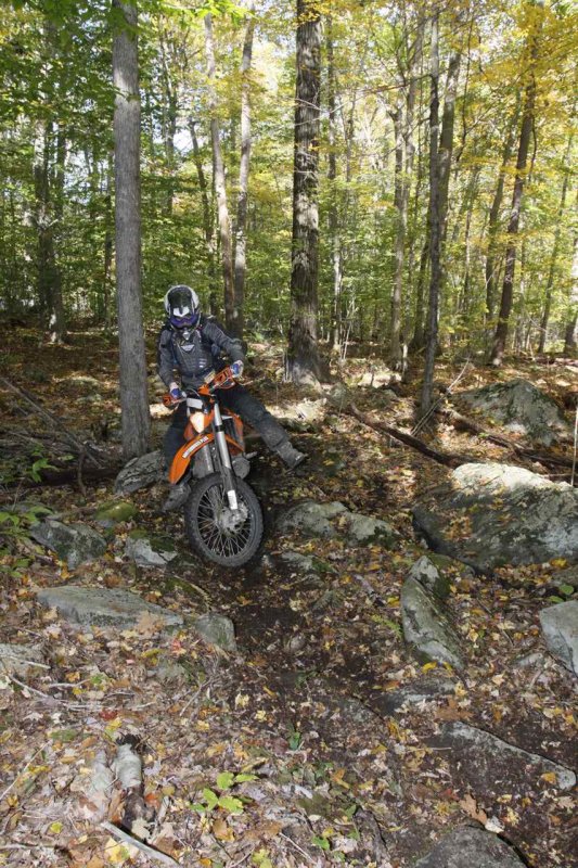 _MG_9175.jpg