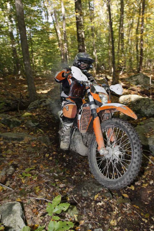 _MG_9177.jpg