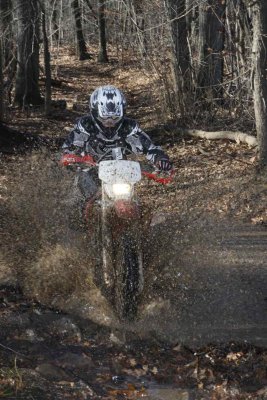 _MG_9409.jpg