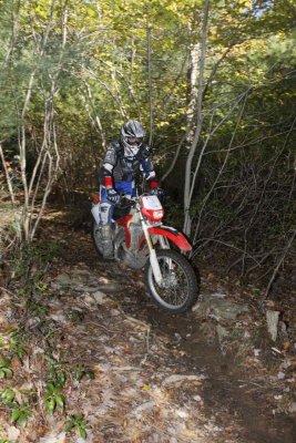 _MG_9074.jpg