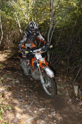 _MG_9106.jpg
