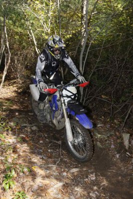 _MG_9107.jpg