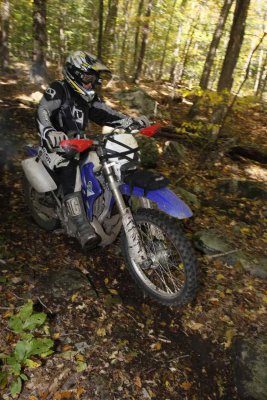 _MG_9179.jpg