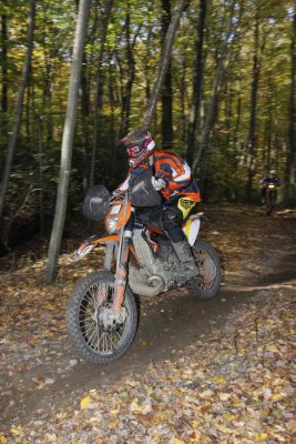 _MG_9248.jpg