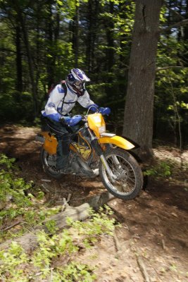 _MG_7265.jpg