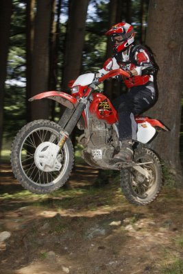 _MG_8209_WillE_.jpg