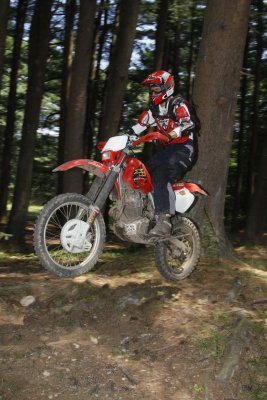 _MG_8211_WillE_.jpg