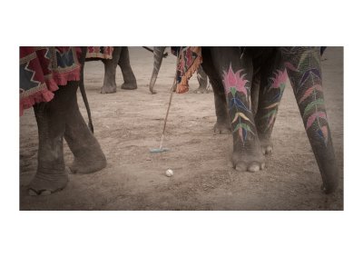 Elephant polo, Deogarh, Rajasthan