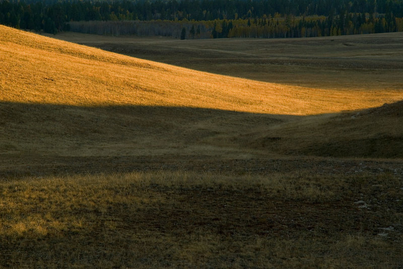 North Kaibab Meadow