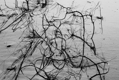 Abstract 2