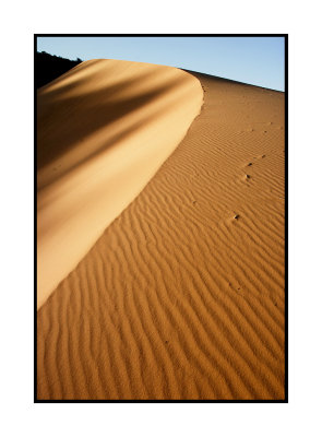 Coral Pink Sand Dunes