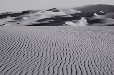 Dunescape in Morning Light