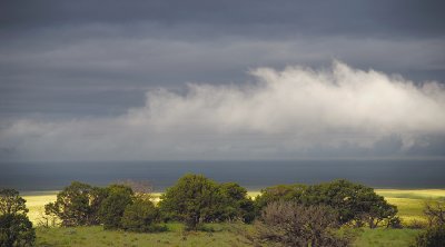 High Desert Storm