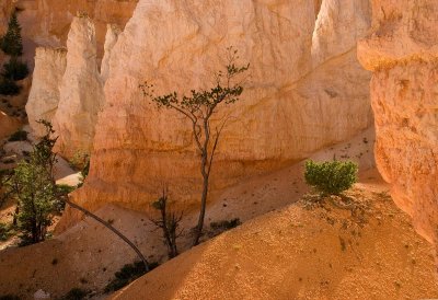 Deep in the Hoodoos