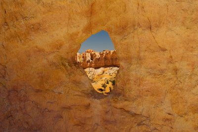 Window