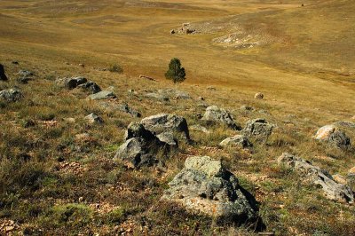 North Kaibab Meadow