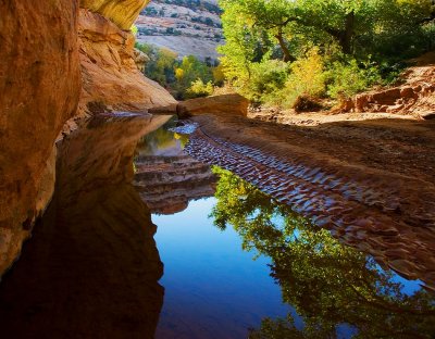 White Canyon, Early Fall
