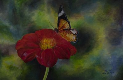 Butterfly On A Red Flower