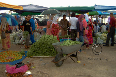 20071014_KK_017.jpg