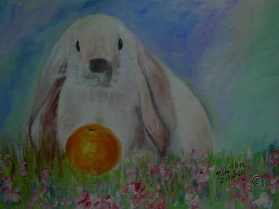 The Rabbit and an orange