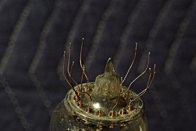 IMGP6217+.JPG