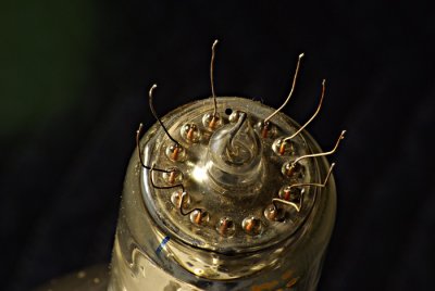 IMGP6218+.JPG