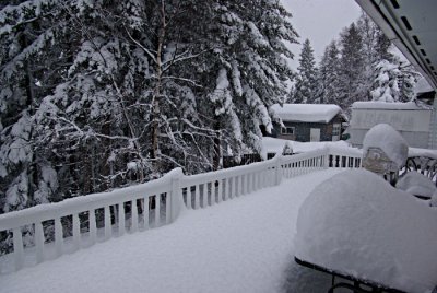 winter