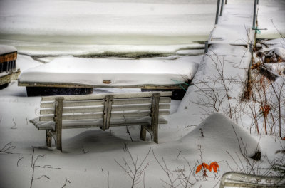 Bench