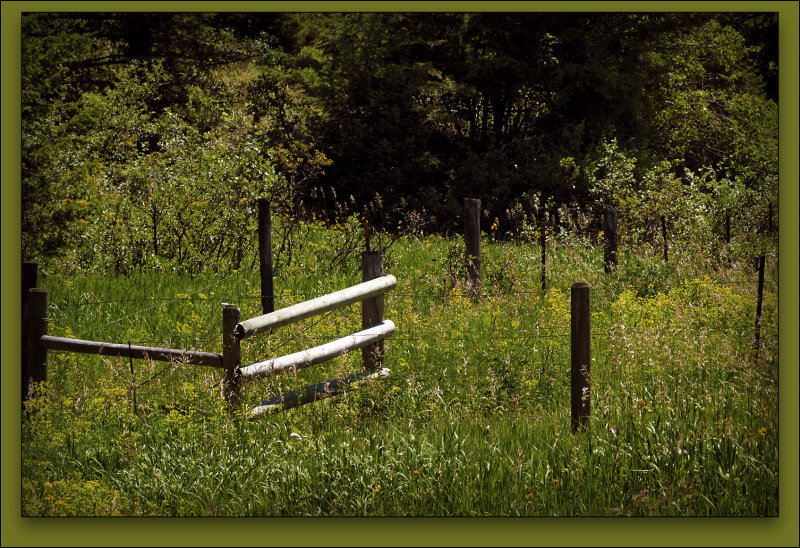 Fence Drinking Horse Mt