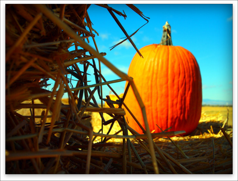Autumn In MT