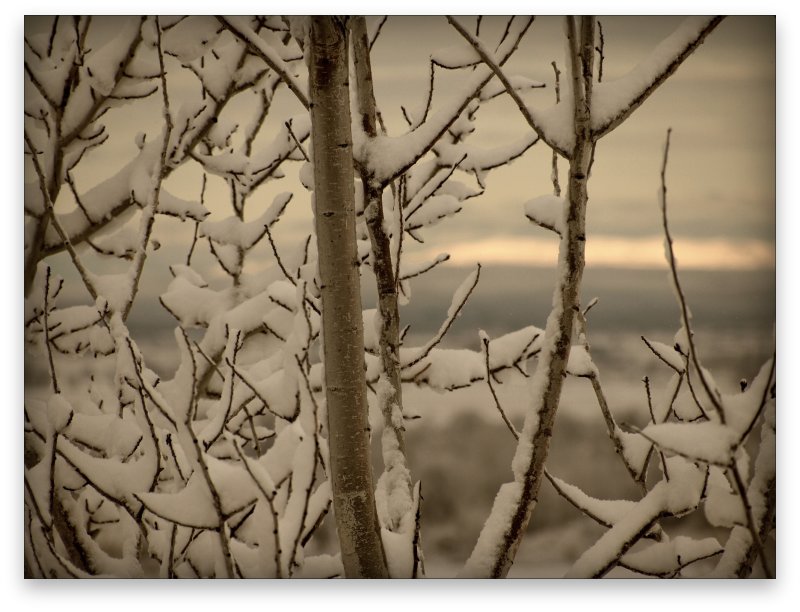 First Snow 2