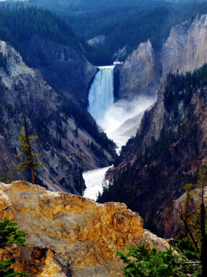 YELLOWSTONE