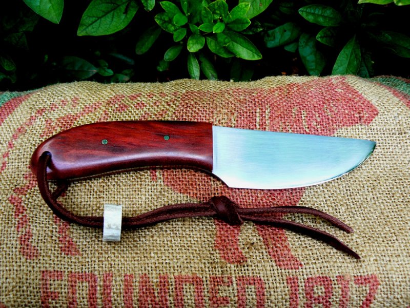 Bloodwood Skinner2.jpg