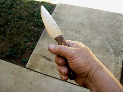 Walnut Knife in Hand.jpg