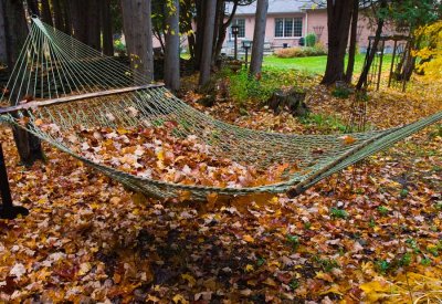 Hammock Leaves 8022